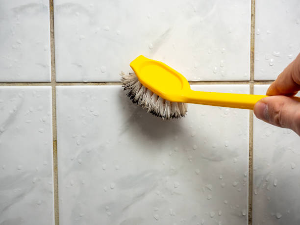 Best Preventive Mold Services in Cherryvale, KS