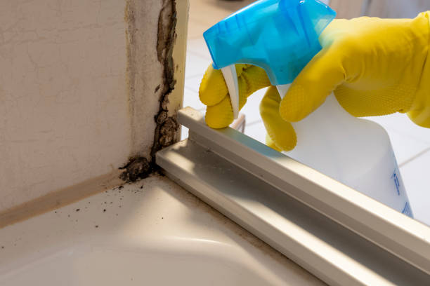 Best Emergency Mold Remediation in Cherryvale, KS