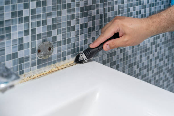 Best Residential Mold Remediation in Cherryvale, KS